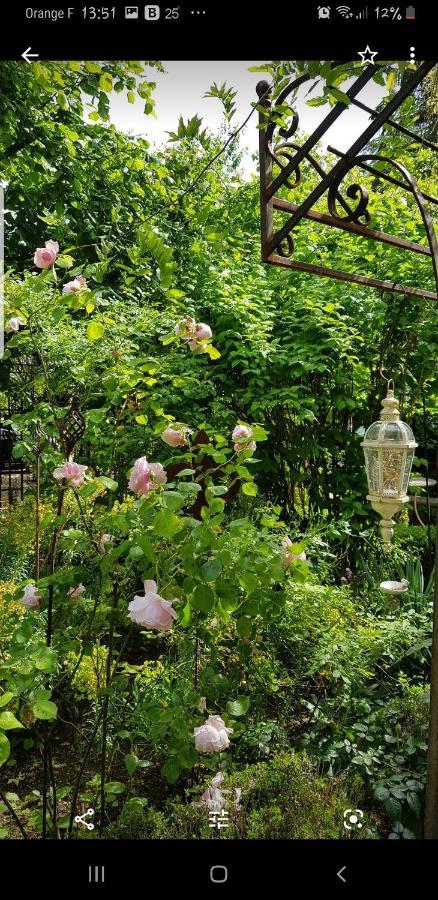 Chambres D'Hotes Jardin D'Ivoire Saint-Gervais-la-Foret Ngoại thất bức ảnh